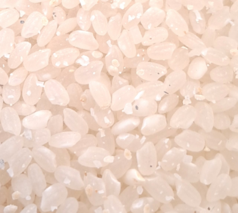 Arroz para Sushi Hayate – 5 KG