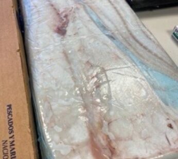 FILET DE ABADEJO ARGENTINO 800/1200 – 10 KG