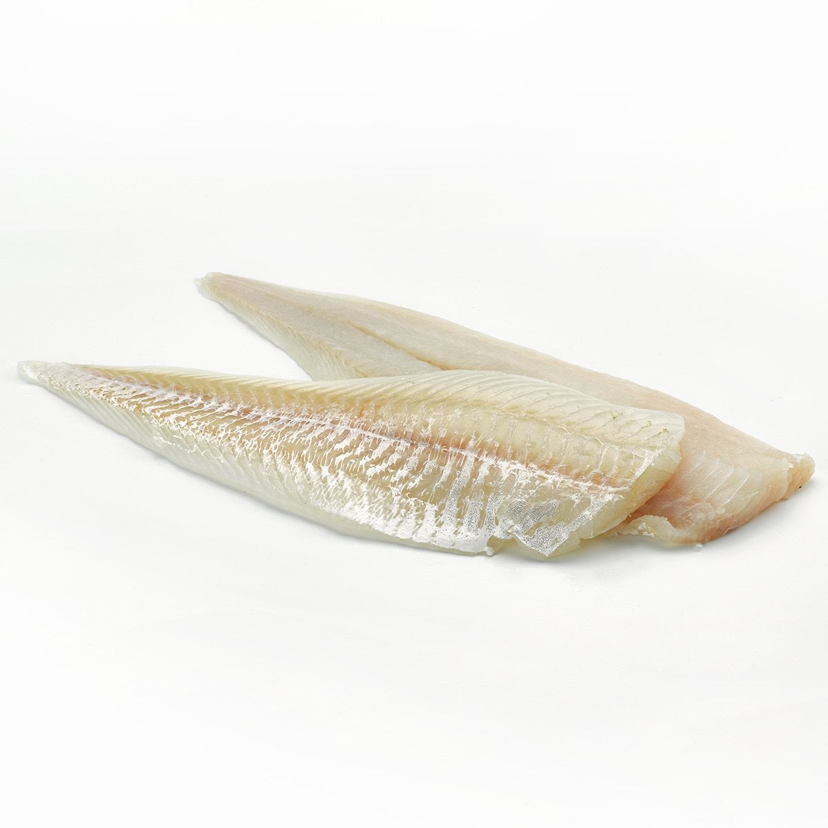 FILET FRESCO DE BRÓTOLA - 1Kg