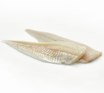 FILET DE BACALAO NATURAL CONG. A BORDO – 7 KG