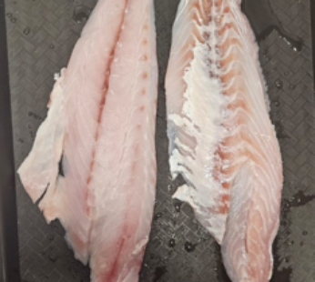 FILET DE CORVINA RUBIA SIN ESPINA