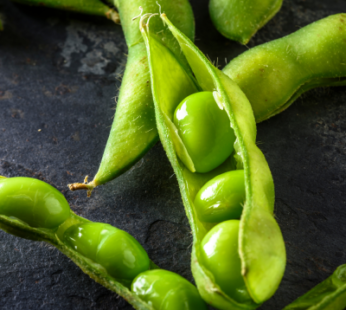 EDAMAME CON VAINA – 1 KG
