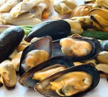 MEJILLON MEDIA CASCARA CHILENO – 9 KG