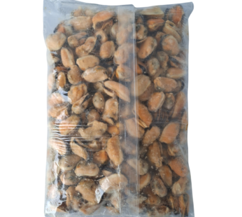 CARNE DE MEJILLON CHILENO 200/300 – 1 KG