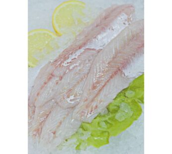 filet fresco de Pescadilla red – 1Kg