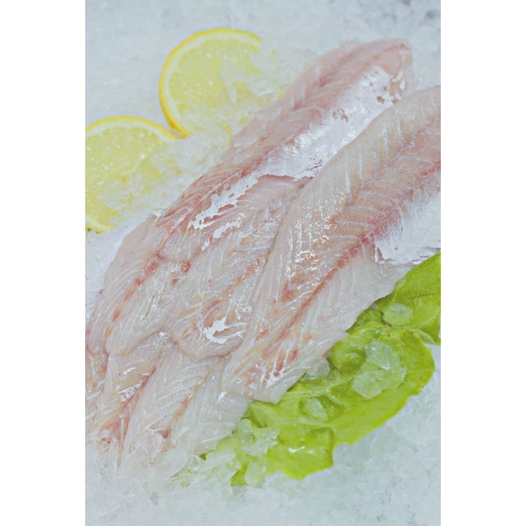 filet fresco de Pescadilla red – 1Kg