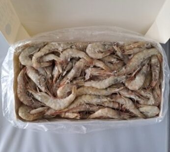 LANGOSTINO ENTERO VANNAMEI 80/100 – 2 KG