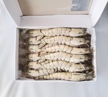 LANGOSTINO ENTERO BLACK TIGER 16/20 – 1 KG