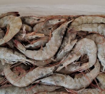LANGOSTINO ENTERO VANNAMEI 60/70 – 2 KG