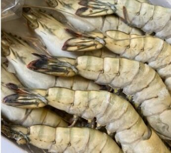 LANGOSTINO ENTERO BLACK TIGER 11/15 – 1 KG