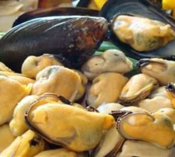 CARNE DE MEJILLON 200/300 – 1 KG