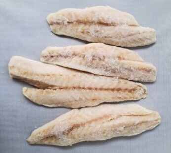 FILETES DE BURRIQUETA IQF – 14 KG