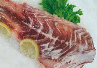 FILET DE CORVINA NEGRA (2 BLOQUES) – 20 KG*