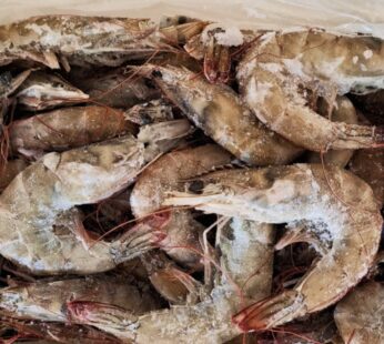 LANGOSTINO ENTERO VANNAMEI 30/40 – 2 KG