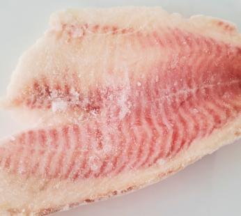 FILET DE TILAPIA SIN ESPINA – 1 KG