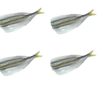 PEJERREY CORTE MARIPOSA – 16 KG