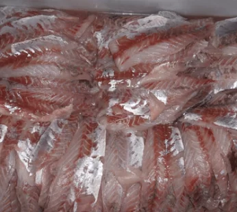 filet fresco de Pescadilla calada – 1Kg