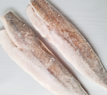FILET DE MERLUZON ARGENTINA CON PIEL IQF – 10 KG