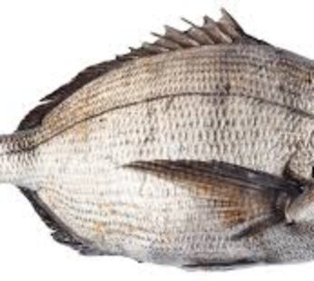 FILET DE SARGO O ENTERO FRESO 1KG