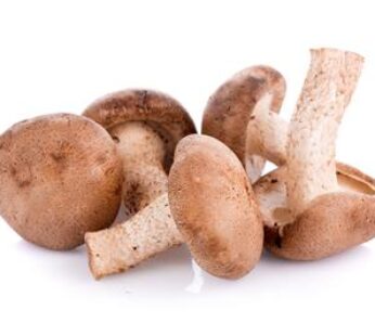 HONGO SHIITAKE ENTERO – 1 KG